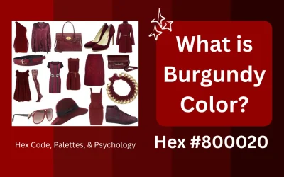 What is Burgundy Color? Hex Code, Palettes, & Psychology
